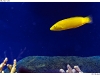 DSE_7969-copy