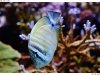 DSE_7970-copy