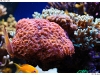 DSE_7998-copy