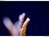 DSE_8026-copy