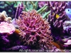 DSC_1803.jpg