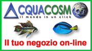 Acquacosmo Shop Web Site