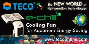 Teco Banner