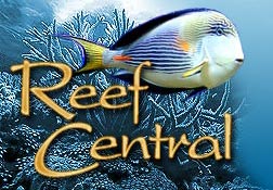 ReefCentral