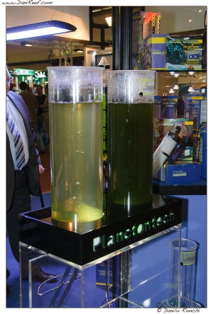 DSF_1255