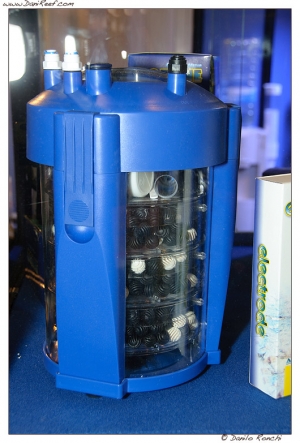 DSF_1257