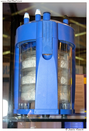 DSF_1258