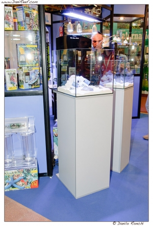 DSF_1261