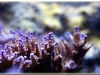 _MG_4307.jpg