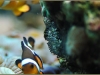 t_DSC_1540.jpg