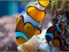 t_DSC_3493.jpg.jpg