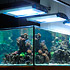 La nuova (grande) vasca di Matteo Benassi - The new (large) tank of