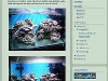 acquaverde