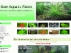 rareaquaticplantssmall