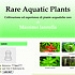 rareaquaticplantsth