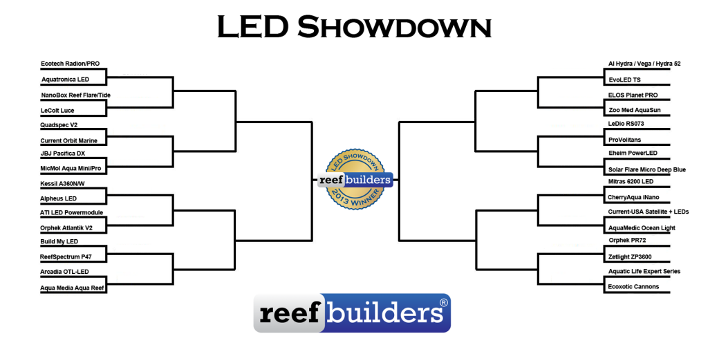 led-showdown-2013-rd1