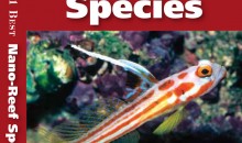 Il nuovo libro The 101 Best Nano-reef Species di Scott W. Michael sugli animali adatti ai nanoreef