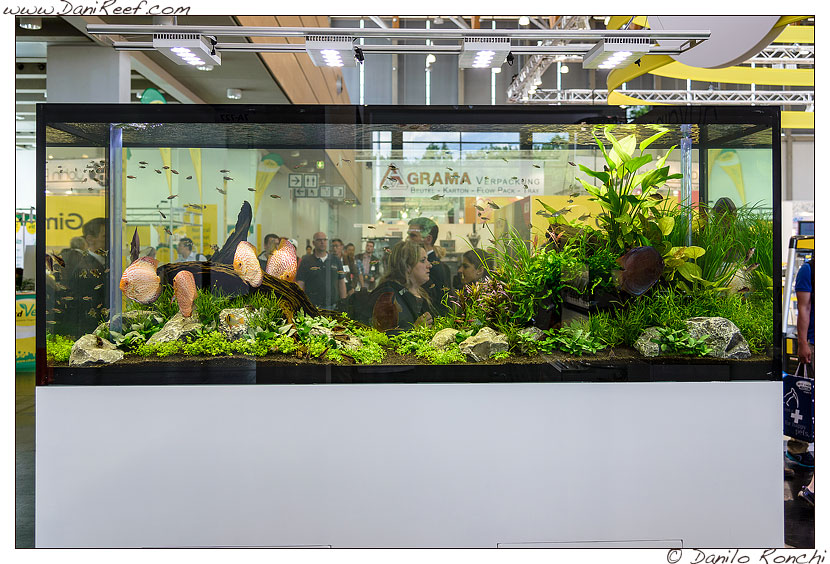 Interzoo 2014 - stand de jong marinelife - acquario di esposizione - discus