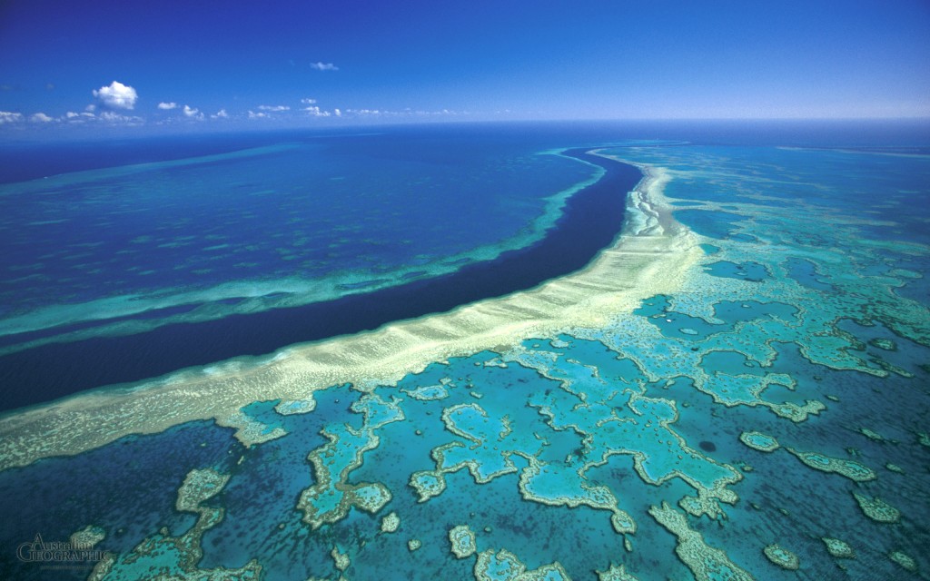 Vista aerea della Grande Barriera Corallina Australiana