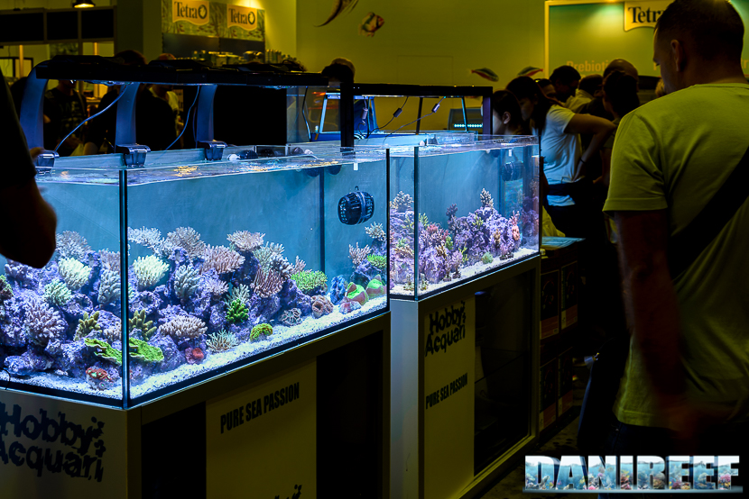 Lo stand Reefline al petsfestival 2014 con gli acquari di hobby acquari in mostra