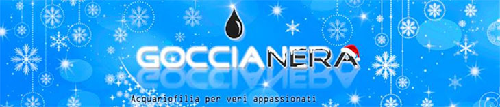 logo_goccia_nera