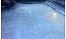 Scoperta la causa di alghe e cianobatteri in acquario: dipendono dai vetri dell’acquario