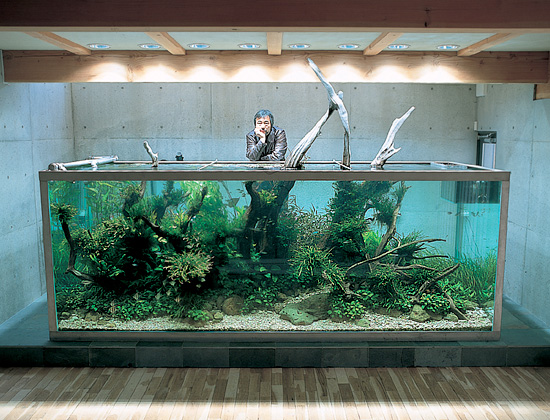 Takashi Amano l'acquariofilo che osservava la natura