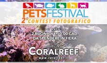 Affrettatevi! PetsFestival mette in palio 50 euro di coralli ma solo fino a domani!