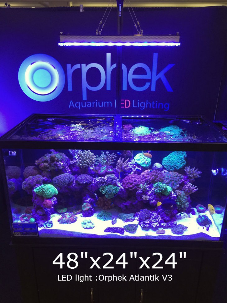 48x24-aquarium-LED-lighting