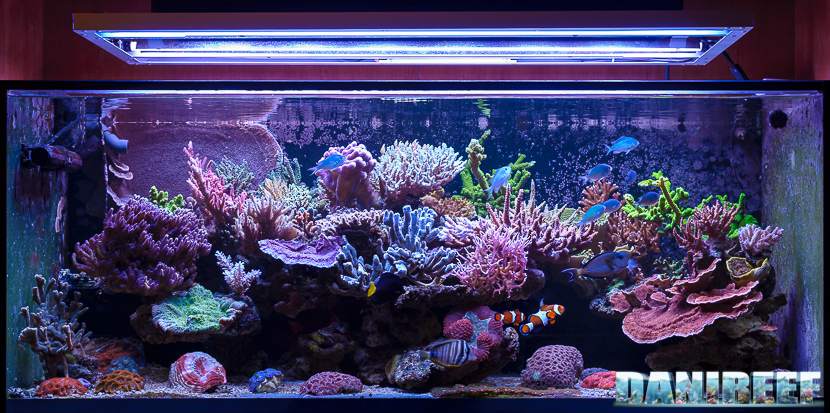 AquaRoche Reef System - Continua lo speciale sulle rocce sintetiche parte 3
