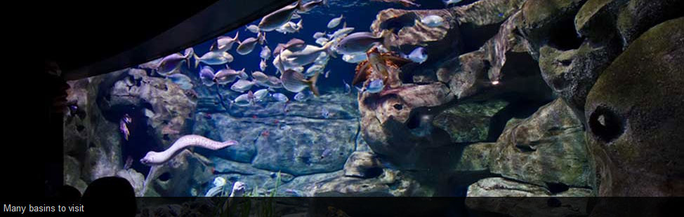 acquario di parigi cineaqua