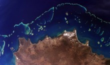 La Grande Barriera Corallina subisce il terzo sbiancamento di massa in 5 anni