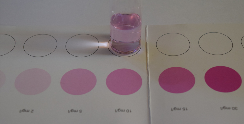 Dettaglio della provetta nella quale riconoscere la tipica colorazione rosa.