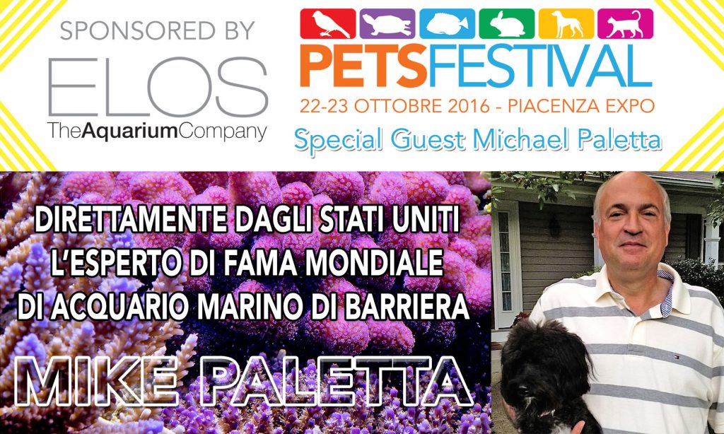mike_paletta_petsfestival