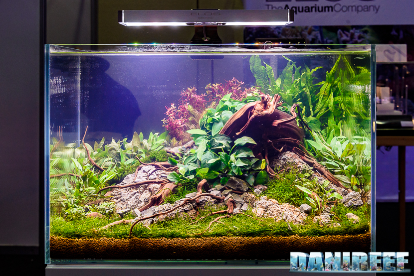 201610-aquascaping-elos-layout-petsfestival-228-copyright-by-danireef