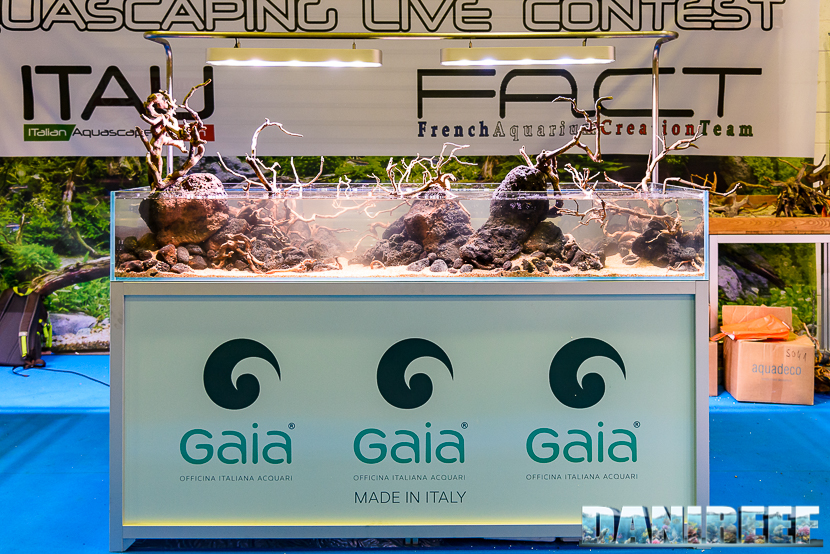 201610-aquascaping-contest-gaia-itau-vs-fact-petsfestival-162-copyright-by-danireef