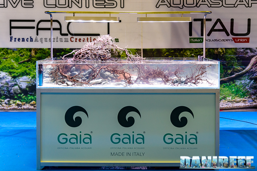 201610-aquascaping-contest-gaia-itau-vs-fact-petsfestival-164-copyright-by-danireef