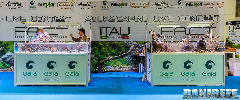 201610-aquascaping-contest-gaia-itau-vs-fact-petsfestival-170-copyright-by-danireef