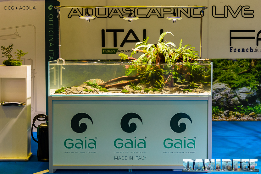 201610-aquascaping-gaia-oliver-knot-petsfestival-168-copyright-by-danireef