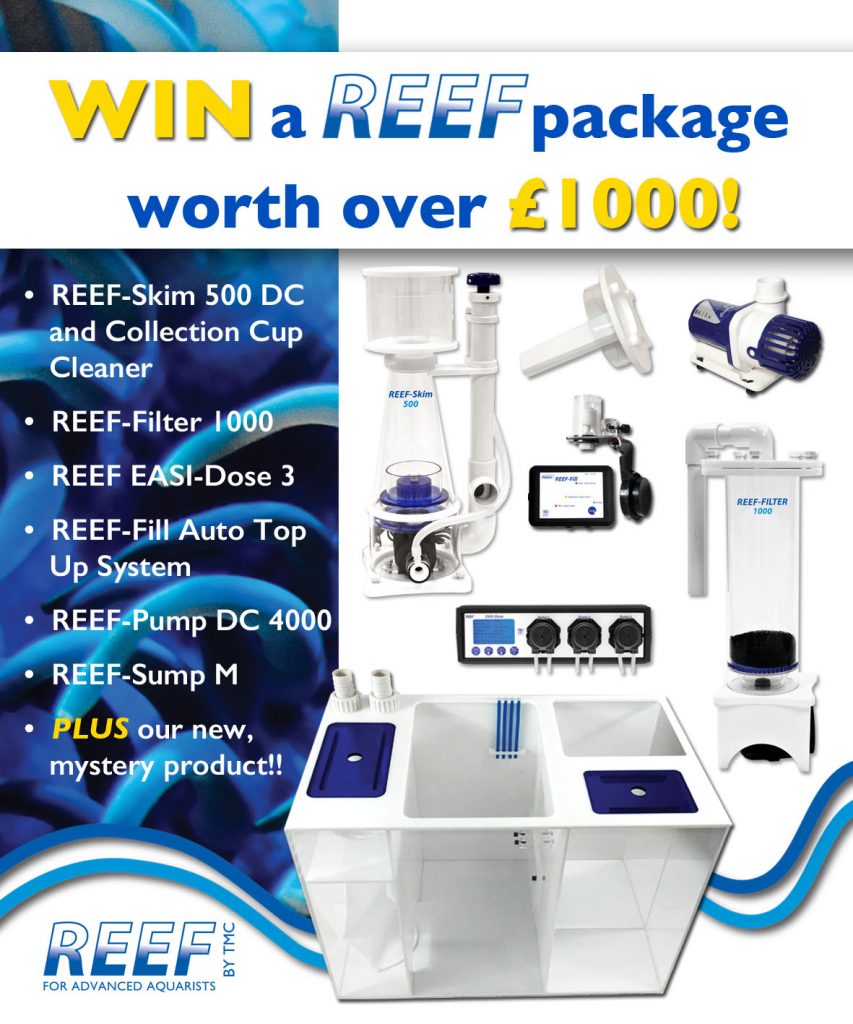 reef-cam-launch-competition-ad