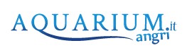 aquariumangri-il-tuo-acquario-online-logo-1462790921