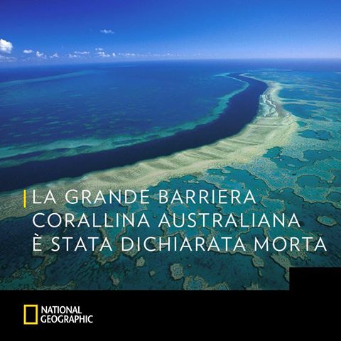 National Geographic: La grande barriera corallina australiana è stata dichiarata morta