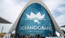 Oceanografic Valencia – Reportage of the biggest Aquarium in Europe