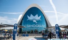 Oceanografic di Valencia – Reportage del più grande acquario in Europa