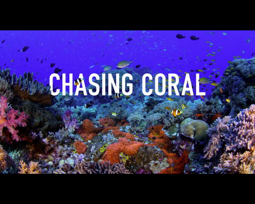 La Recensione di Chasing Coral da parte del portale DaniReef