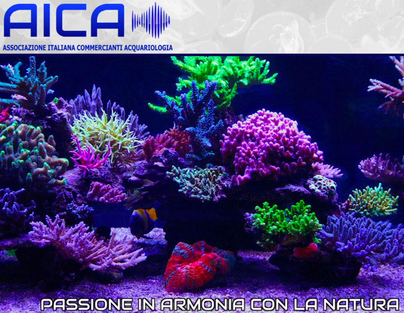 AICA, Associazione Italiana Commercianti Acquariologia