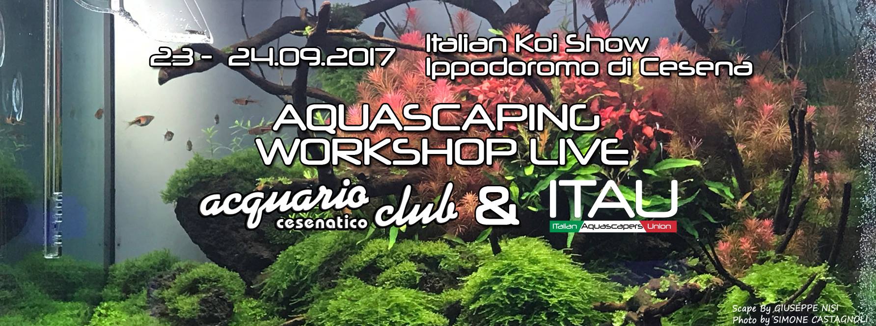 Aquascaping workshop live presso italian koi show 23 e 24 settembre 2017
