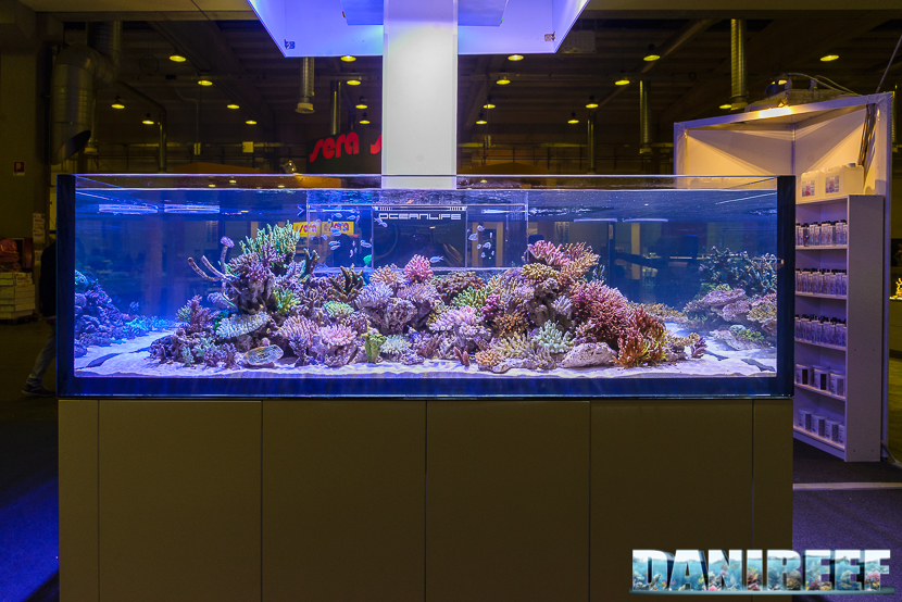 L'incredibile acquario arredato da Hobby Acquari presso lo stand OceanLife. L'attrazione più bella del mondo acquariofilo