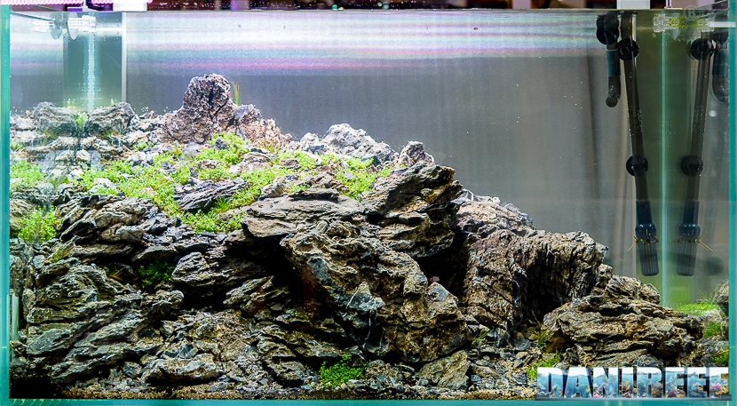 CIPS 2017: Aquascaping Contest Georg W. Just