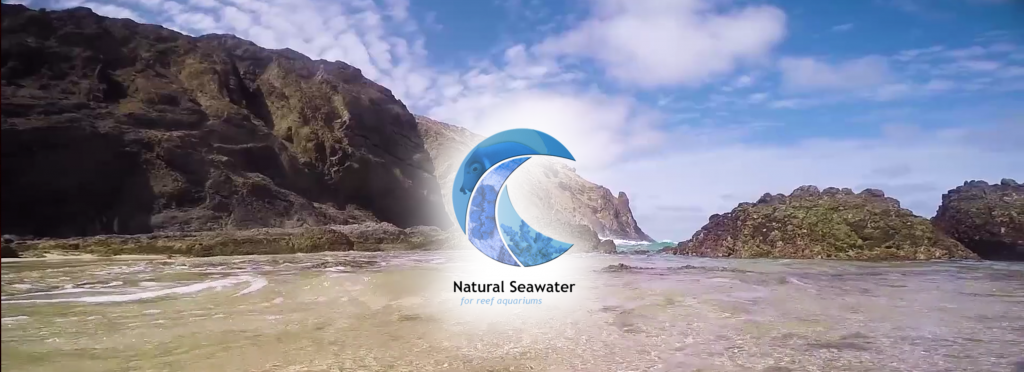 Natural Seawater from Portugal